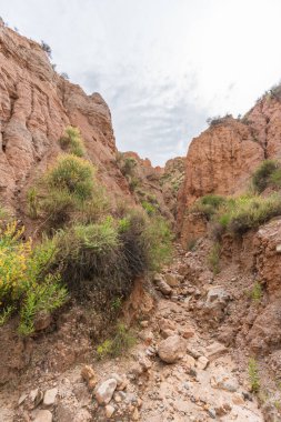 Dağlık araziler ve Güney İspanya 'da ağır aşınmalar var. Çalı bitkileriyle çorak topraklar, gökyüzü bulutlu.
