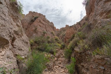 Dağlık araziler ve Güney İspanya 'da ağır aşınmalar var. Çalı bitkileriyle çorak topraklar, gökyüzü bulutlu.