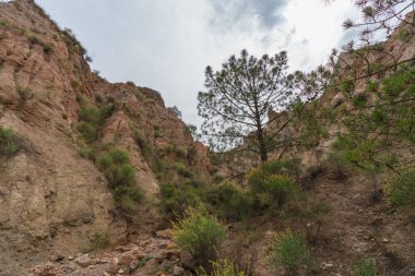İspanya 'nın güneyindeki dağlık arazide çalılar ve ağaçlar var. Yerde taşlar var ve gökyüzü bulutlu.