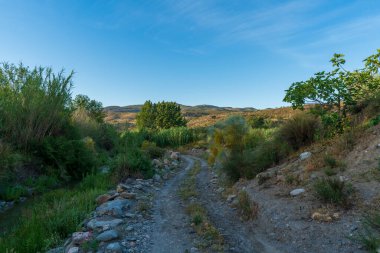 Dağlık bir arazide yol bitkilerle kaplı, ağaçlar ve kamış tarlaları var, yol toprak ve taşlardan yapılmış, gökyüzü çok az bulutla berrak.