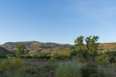 Dağlık arazi bitkilerle kaplı, yerde ağaçlar, sazlıklar ve çimenler var, dağda badem ekimi var, gökyüzü açık.