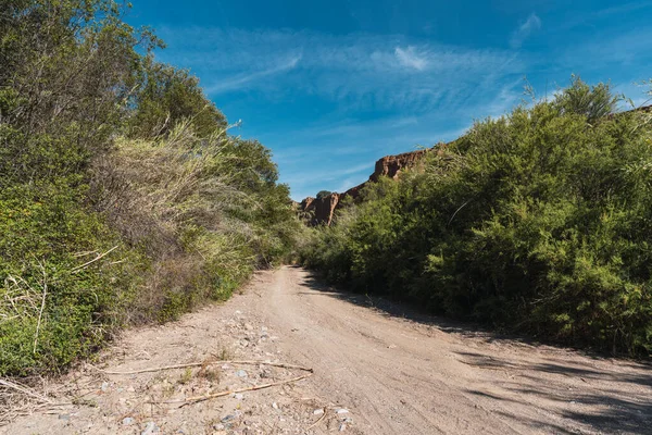 Bitki örtüsü ve ağaçlarla kurumuş nehir, nehir yatağında kum ve taşlar var, gökyüzü çok az bulutla temiz.