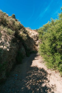 Bitkilerle dağ arasında yürüyorum. Yerde kum ve taşlar var. Gökyüzü bulutsuz.