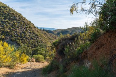 Güney İspanya 'nın dağlık arazisi, ağaçlar ve çalılar, toprak yol ve taşlar var, gökyüzünde çok az bulut var.
