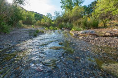 Güney İspanya 'da nehirden aşağı akan sular, ağaçların ve çalıların bitki örtüsü, dağlar ve yerde kum ve taşlar var, gökyüzünde çok az bulut var.