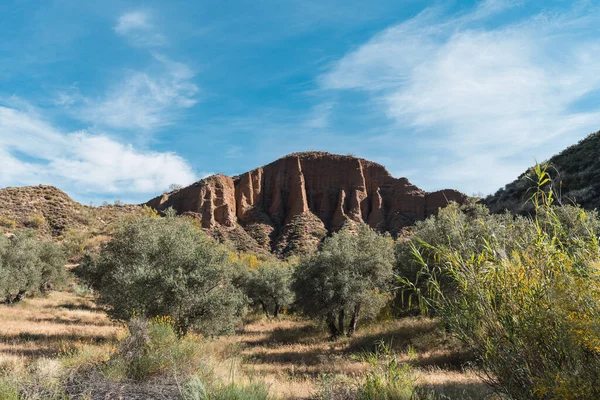 İspanya 'nın güneyindeki dağlık arazide ağaçlar ve çalı bitkileri var. Gökyüzünde çok az bulut var.