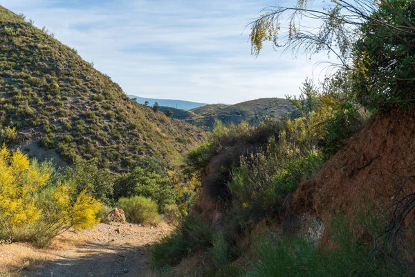 Paisaje Montañoso Sur España Hay Árboles Arbustos Hay Camino Tierra —  Fotos de Stock