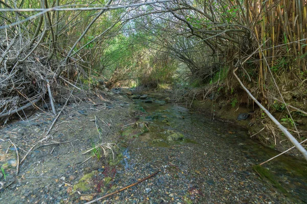 Água Que Flui Pelo Rio Sul Espanha Vegetação Árvores Arbustos — Fotografia de Stock