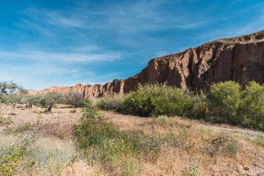 Güney İspanya 'da zeytin yetiştirme alanı, sazlıklar ve yamaçlar var, gökyüzünde çok az bulut var.