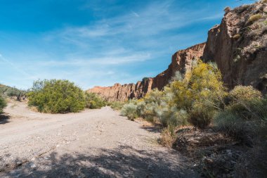 Nehirdeki kumlu yol bitkilerle çevrili, erozyonla oluşmuş bir uçurum var, gökyüzünde çok az bulut var.
