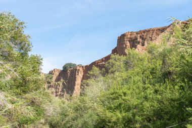 Güney İspanya 'da bir nehir bölgesinde bol bitki örtüsü var, bir uçurum var, gökyüzü az bulutla mavi.