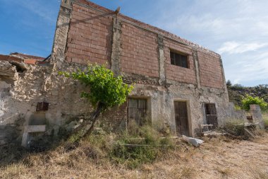 Güney İspanya 'daki eski tuğla ve taş çiftlik evinin birkaç kapısı ve penceresi var. Yerde kuru otlar, yeşil yapraklı 2 sarmaşık, gökyüzü bulutlarla mavidir.