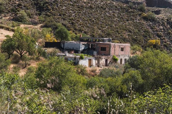 스페인 남부의 시골에 농장으로 갈대와 올리브 나무가 농장은 벽돌로 졌습니다 — 스톡 사진