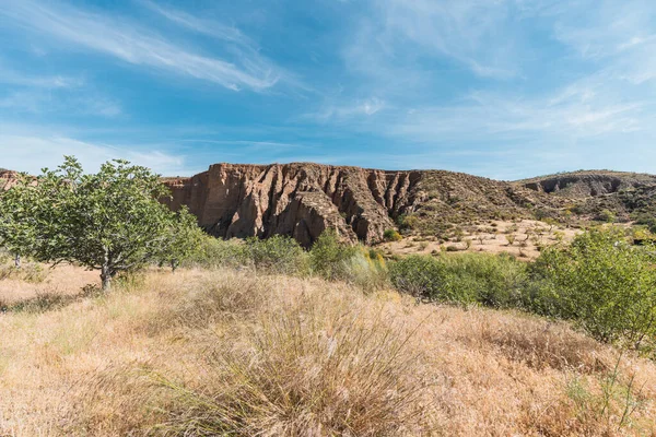 Güney İspanya 'da bir nehir bölgesinde bol bitki örtüsü var, bir uçurum var, gökyüzü az bulutla mavi.