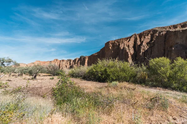 Güney İspanya 'da zeytin yetiştirme alanı, sazlıklar ve yamaçlar var, gökyüzünde çok az bulut var.