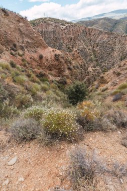 İspanya 'nın güneyinde bitki örtüsüyle dağlık bir arazi, gökyüzü bulutlarla mavidir.