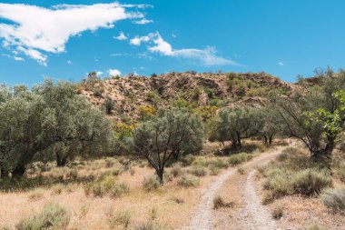 İspanya 'nın güneyinde bitki örtüsüyle dağlık bir arazi, gökyüzü bulutlarla mavidir.