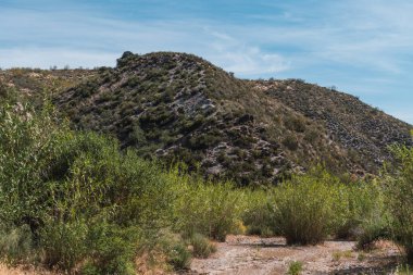 Nehrin yanında bitki örtüsü olan dağlık alanda çalılar, ağaçlar, nehir yatağında kamış tarlaları, zeytin ağaçları ve yerde de taşlar var.
