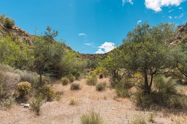 İspanya 'nın güneyinde bitki örtüsüyle dağlık bir arazi, gökyüzü bulutlarla mavidir.