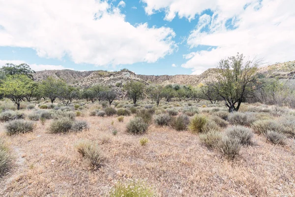İspanya 'nın güneyinde bitki örtüsüyle dağlık bir arazi, gökyüzü bulutlarla mavidir.
