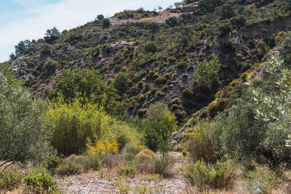 Nehrin yanında bitki örtüsü olan dağlık alanda çalılar, ağaçlar, nehir yatağında kamış tarlaları, zeytin ağaçları ve yerde de taşlar var.