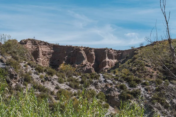 Güney İspanya 'da bol bitki örtüsüyle aşınmış dağ, kamış tarlaları var, gökyüzü az bulutla temiz.
