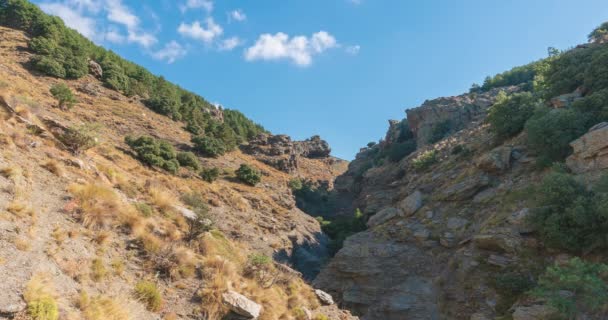 南スペインの山の中で雲の動き 山の中で茂みや木の植生があります — ストック動画