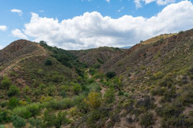 İspanya 'nın güneyinde bitki örtüsü olan dağlar, ağaçlar var ve gökyüzü bulutlu.