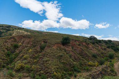 İspanya 'nın güneyinde bitki örtüsü olan dağlar, ağaçlar var ve gökyüzü bulutlu.