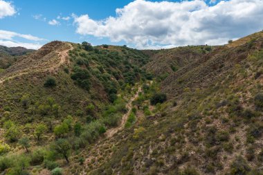 İspanya 'nın güneyinde bitki örtüsü olan dağlar, ağaçlar var ve gökyüzü bulutlu.