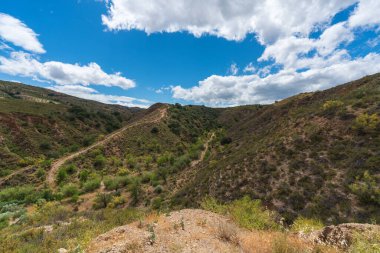 İspanya 'nın güneyinde bitki örtüsü olan dağlar, ağaçlar var ve gökyüzü bulutlu.