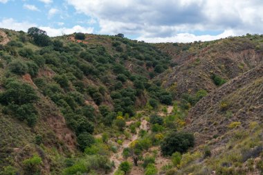 İspanya 'nın güneyinde bitki örtüsü olan dağlar, ağaçlar var ve gökyüzü bulutlu.