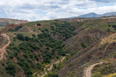İspanya 'nın güneyinde bitki örtüsü olan dağlar, ağaçlar var ve gökyüzü bulutlu.