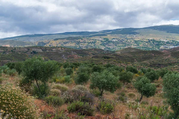 Ορεινό Τοπίο Βλάστηση Στα Νότια Της Ισπανίας Ουρανός Είναι Συννεφιασμένος — Φωτογραφία Αρχείου