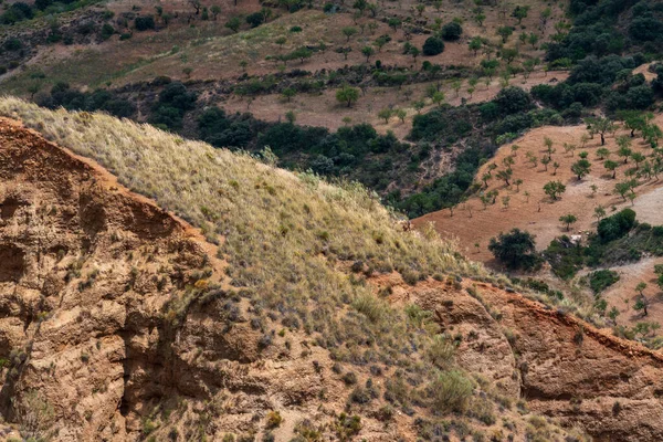 Güney Spanya Aşınmış Dağ Manzarası Çalılık Bitki Örtüsü Badem Ağaçları — Stok fotoğraf