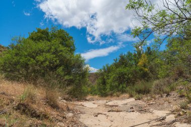 Toprak yol ağaçlar ve çimenler arasında, gökyüzünde bulutlar var, yerde taşlar ve toprak var.