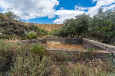 Tarlada su olmayan küçük bir havuz, beton bloklar halinde inşa edilmiş, etrafında zeytin ağaçları ve çalılar var ve gökyüzünde bulutlar var.