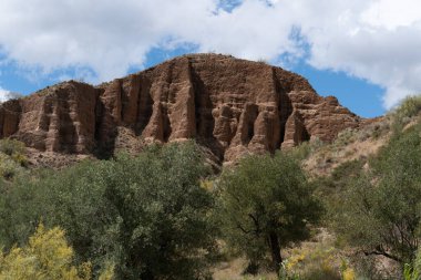 Dağ yamacında güçlü erozyonlarla dolu dağlık bir bölge. Çalı ve ağaçların bol bitkileri var. Gökyüzü bulutlu.