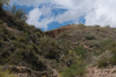 İspanya 'nın güneyinde bitki örtüsü olan dağlık bir arazi, kuru otlar, çalılar, badem ağaçları, gökyüzü bulutlu.
