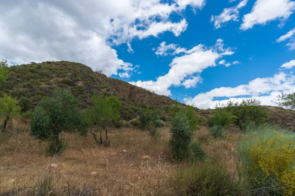 İspanya 'nın güneyinde bitki örtüsü olan dağlık bir arazi, gökyüzü bulutlu ve zeytin ve badem ağaçları fidanlıkları var.