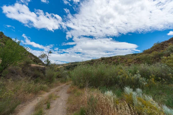 Dağlık bir bölgedeki bitki örtüsünün arasındaki toprak yolda ağaçlar, sazlıklar ve çalılar var. Gökyüzü bulutlarla dolu.
