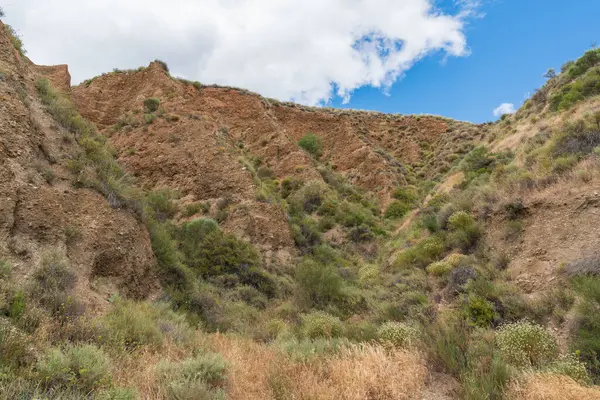 Geniş çalı bitkileriyle dağlık vadiler. Gökyüzü beyaz bulutlarla temiz.