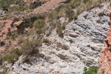 Dağın yamacında dağ keçileri, dağda çalılar ve taşlar var.