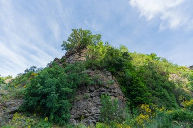 Dağlık bir bölgede yeşil yapraklı ağaçlar, dağ kayadan yapılmış, ağaçlar ve çalılar var, gökyüzünde çok az bulut var.