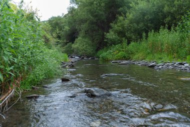 Güney İspanya 'da bir nehirden akan su, su kristal kadar berrak, çimenler ve ağaçlar var, nehirde taşlar var.