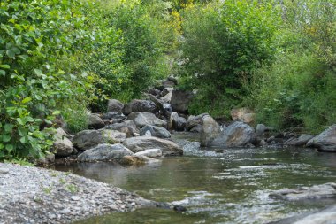 Güney İspanya 'da bir nehirden akan su, su kristal kadar berrak, çimenler ve ağaçlar var, nehirde taşlar var.