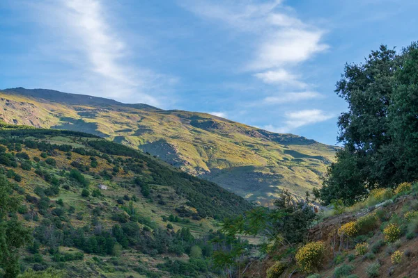 Güney Spanya Dağlık Bir Arazide Gün Doğumu Çimenler Yeşil Gökyüzü — Stok fotoğraf