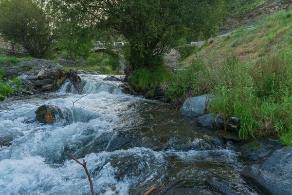 Dağlar Arasında Nehirden Aşağı Akan Nehirde Kurumuş Dallar Taşlar Bir — Stok fotoğraf