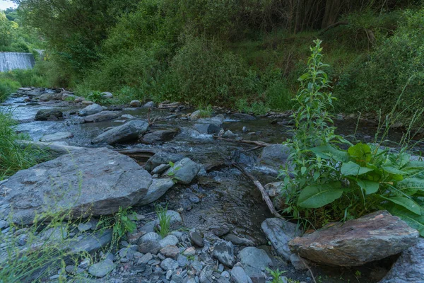 在西班牙南部的一条河床上 草地上有石头和水 河岸上有大量的植被 有瀑布 — 图库照片