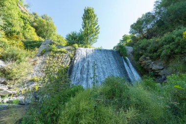 İspanya 'nın güneyindeki bir nehirde bol bitki örtüsü, nehir suyu taşıyor, nehir yatağında taşlar var, gökyüzü açık, ağaçlar var.